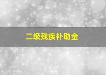 二级残疾补助金