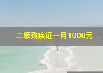 二级残疾证一月1000元