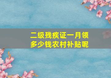 二级残疾证一月领多少钱农村补贴呢