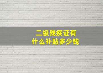 二级残疾证有什么补贴多少钱