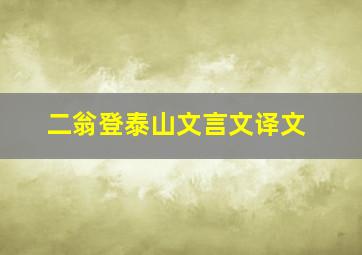 二翁登泰山文言文译文