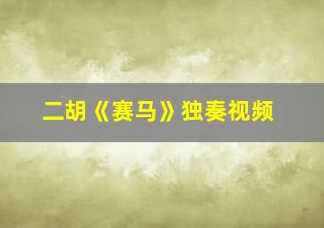 二胡《赛马》独奏视频