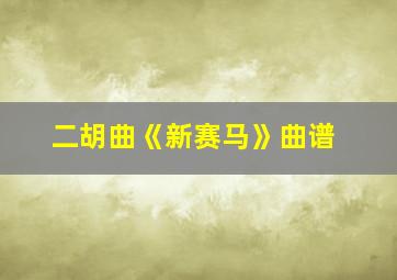 二胡曲《新赛马》曲谱