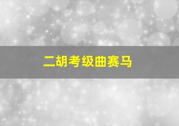 二胡考级曲赛马