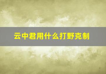 云中君用什么打野克制