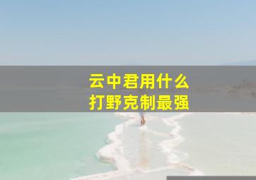 云中君用什么打野克制最强