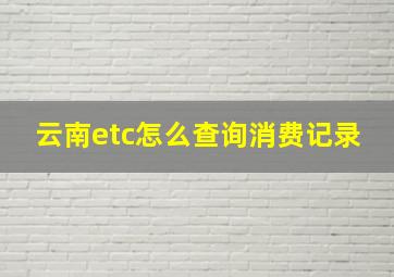 云南etc怎么查询消费记录