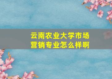 云南农业大学市场营销专业怎么样啊