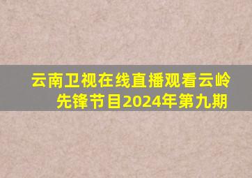 云南卫视在线直播观看云岭先锋节目2024年第九期