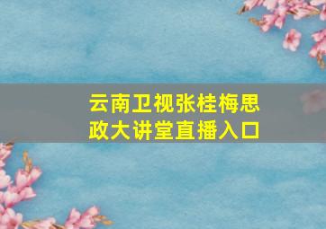 云南卫视张桂梅思政大讲堂直播入口