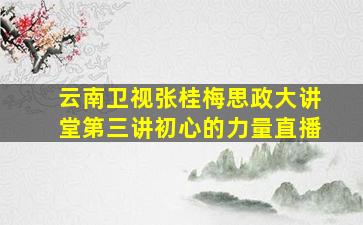 云南卫视张桂梅思政大讲堂第三讲初心的力量直播