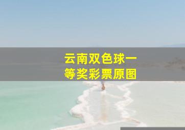 云南双色球一等奖彩票原图