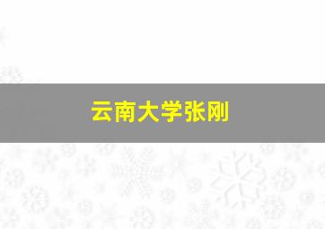 云南大学张刚