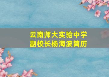 云南师大实验中学副校长杨海波简历