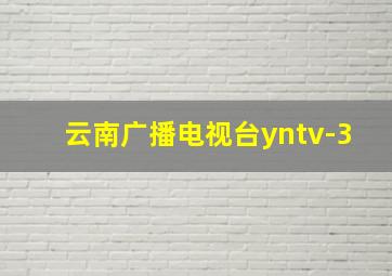 云南广播电视台yntv-3