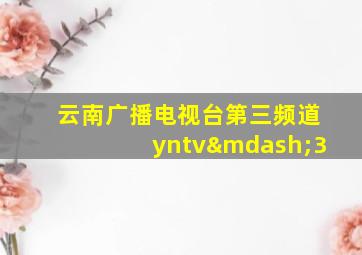 云南广播电视台第三频道yntv—3