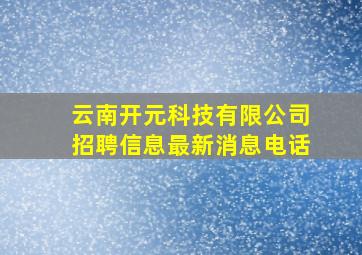 云南开元科技有限公司招聘信息最新消息电话