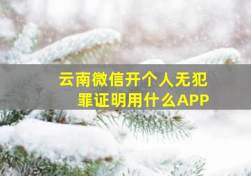 云南微信开个人无犯罪证明用什么APP