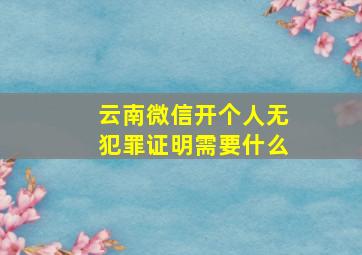 云南微信开个人无犯罪证明需要什么