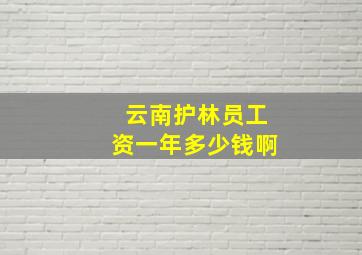 云南护林员工资一年多少钱啊