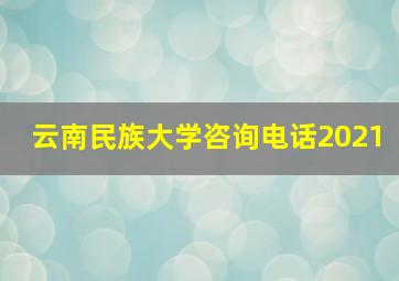 云南民族大学咨询电话2021