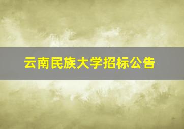 云南民族大学招标公告