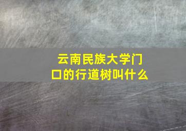 云南民族大学门口的行道树叫什么