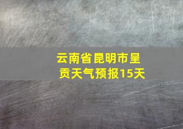 云南省昆明市呈贡天气预报15天