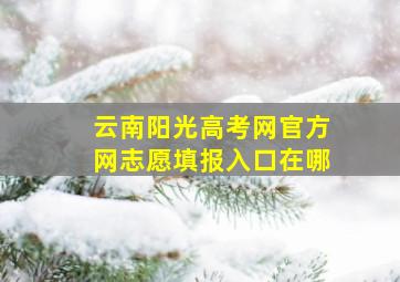 云南阳光高考网官方网志愿填报入口在哪