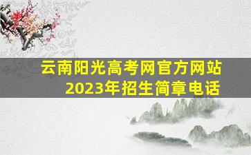 云南阳光高考网官方网站2023年招生简章电话