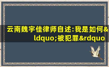 云南魏宇佳律师自述:我是如何“被犯罪”的