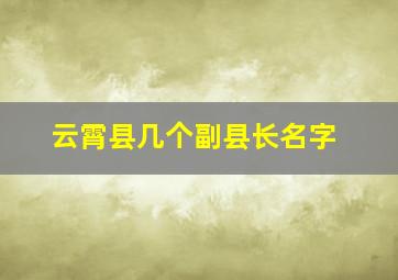 云霄县几个副县长名字