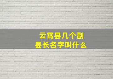 云霄县几个副县长名字叫什么