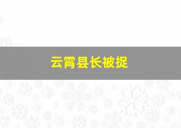 云霄县长被捉