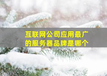 互联网公司应用最广的服务器品牌是哪个