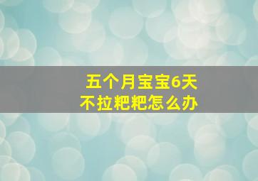 五个月宝宝6天不拉粑粑怎么办