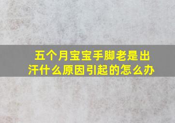 五个月宝宝手脚老是出汗什么原因引起的怎么办