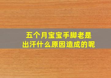 五个月宝宝手脚老是出汗什么原因造成的呢