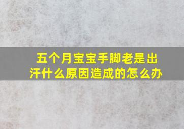 五个月宝宝手脚老是出汗什么原因造成的怎么办