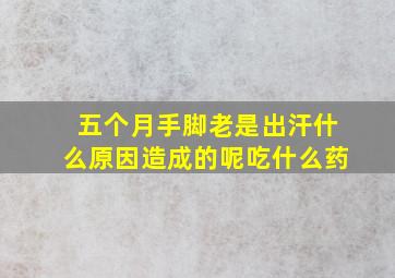 五个月手脚老是出汗什么原因造成的呢吃什么药