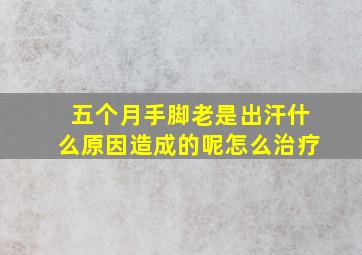 五个月手脚老是出汗什么原因造成的呢怎么治疗