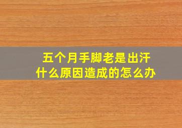 五个月手脚老是出汗什么原因造成的怎么办