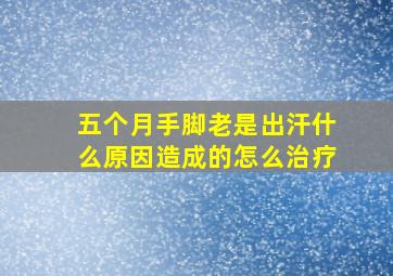 五个月手脚老是出汗什么原因造成的怎么治疗