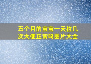 五个月的宝宝一天拉几次大便正常吗图片大全