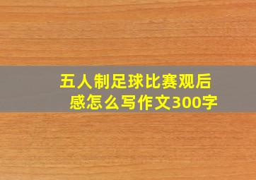 五人制足球比赛观后感怎么写作文300字