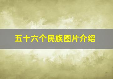 五十六个民族图片介绍