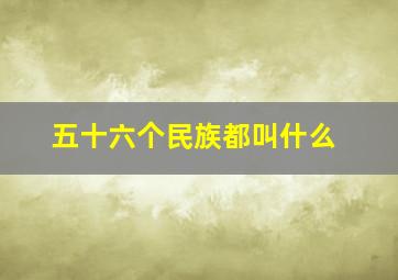 五十六个民族都叫什么