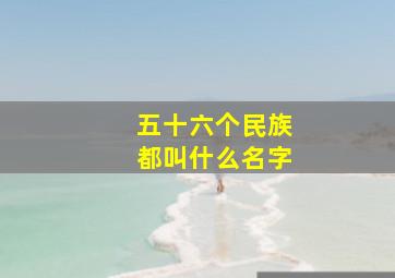 五十六个民族都叫什么名字