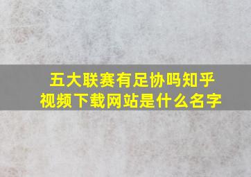 五大联赛有足协吗知乎视频下载网站是什么名字