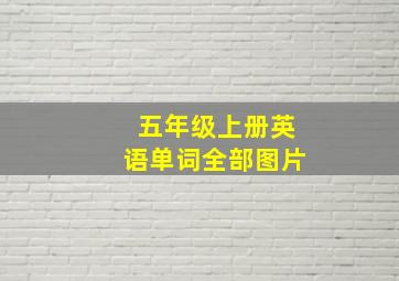 五年级上册英语单词全部图片